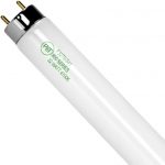 4' Slimline Tubes T8